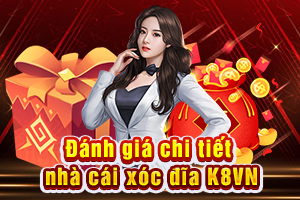 Ảnh đại diện bài viết đánh giá K8VN