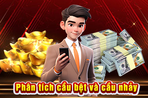 Ảnh đại diện bài viết Phân Tích Cầu Bệt Và Cầu Nhảy